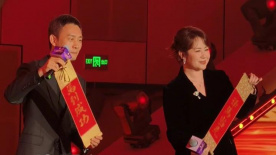 亚洲少妇视频